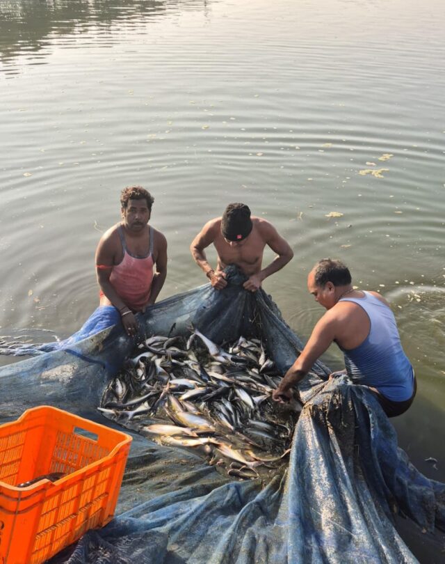 WhatsApp Image 2026-09-24 at 5.16.38 PM (1)