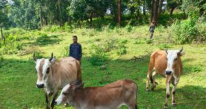 सेवा संकल्प अभियान 2026
