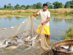 जल संचयन से समृद्धि की ओर