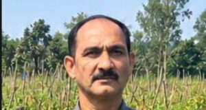 उन्नत टमाटर की खेती से शाहिद की मेहनत लाई रंग, 2 एकड़ में कमाए 1.20 लाख रुपये