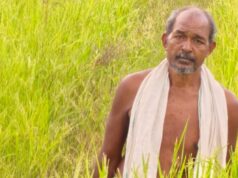 मुख्यमंत्री विष्णु देव साय के नेतृत्व में किसानों की आय बढ़ाने और खेती को लाभकारी बनाने की दिशा में हो रहे निरंतर प्रयास