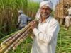 विशेष लेख: गन्ना मूल्य में छत्तीसगढ़ देश में नंबर वन