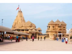 गुजरात हाईकोर्ट ने सिंगल बेंच ने शुक्रवार को सोमनाथ मंदिर के आसपास नॉनवेज बेचने पर रोक को हटा दिया